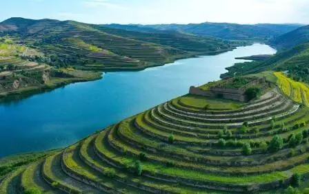 重點行業VOCs治理“一企一策”！寧夏空氣質量持續改善行動實施方案公開征求意見