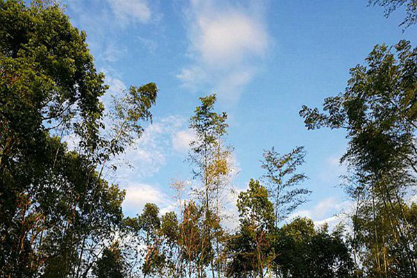 包河區(qū)生態(tài)環(huán)境分局：藍(lán)天不是等出來的，是干出來的