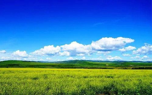 深港強化生態環境領域規則銜接與機制對接，攜手共赴美麗中國先行區之約 