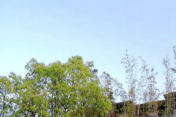 廢氣治理＋綠色運輸！安徽省第三生態環境保護督察組調研阜陽空氣質量提升攻堅 