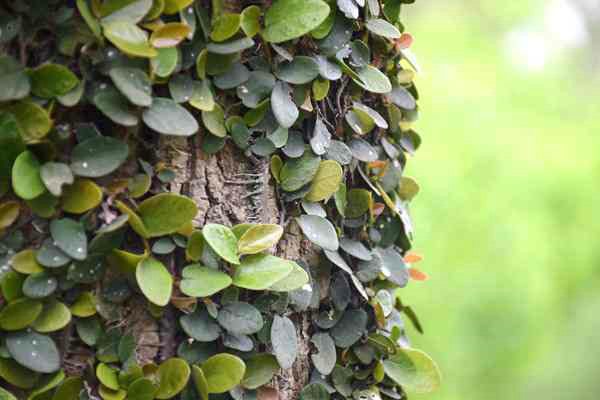 全國(guó)已建成“兩級(jí)、三類、一清單”的生態(tài)環(huán)境分區(qū)管控體系 