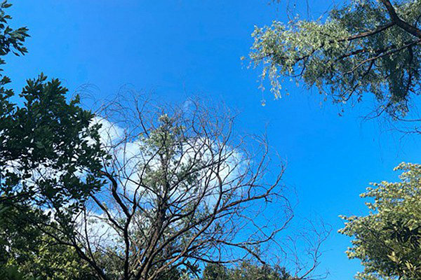 筑牢“真準(zhǔn)全”數(shù)據(jù)基石，數(shù)智賦能打贏藍(lán)天保衛(wèi)戰(zhàn) 